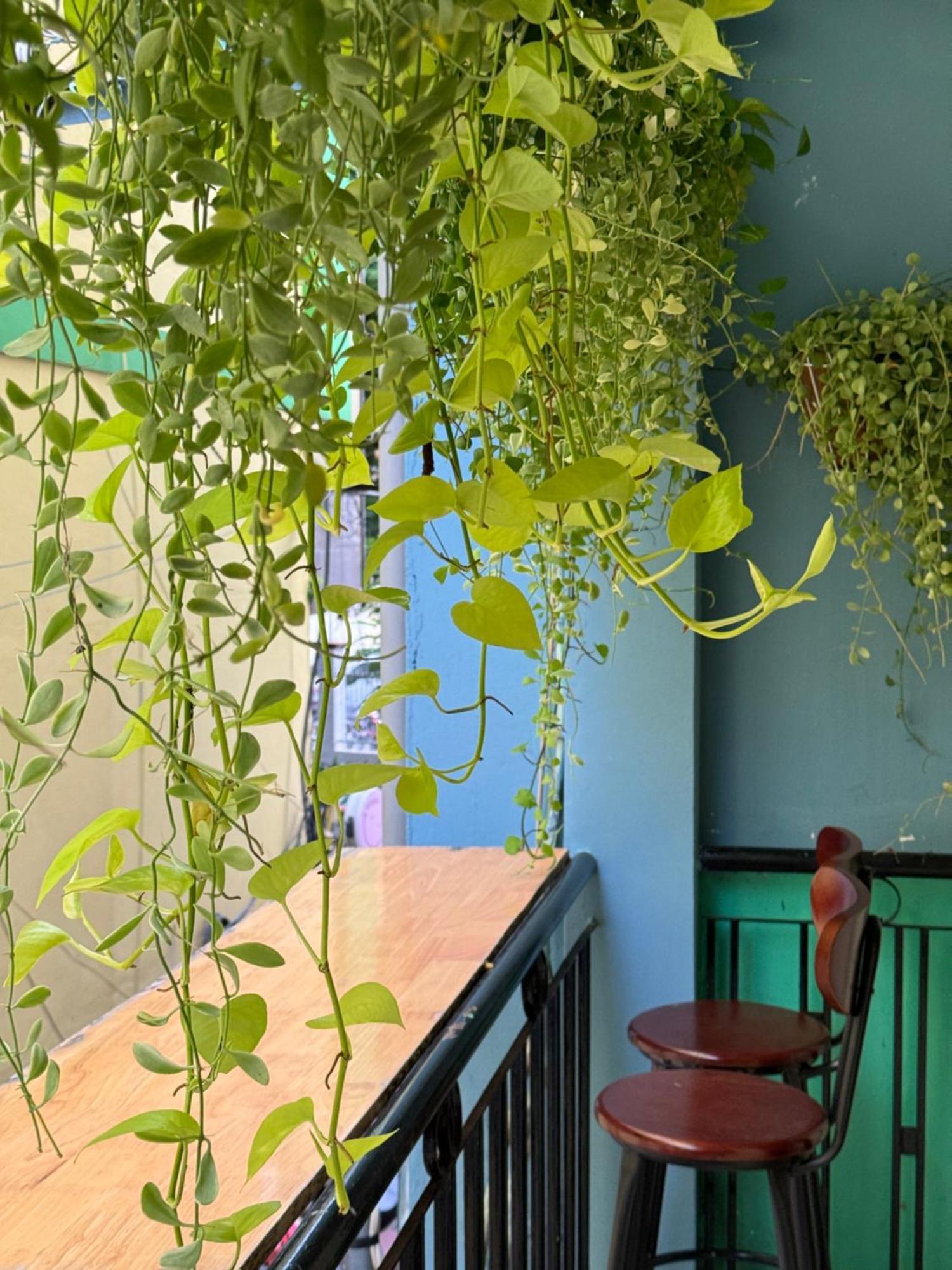 Guest house The Rustic Ho Chi Minh City